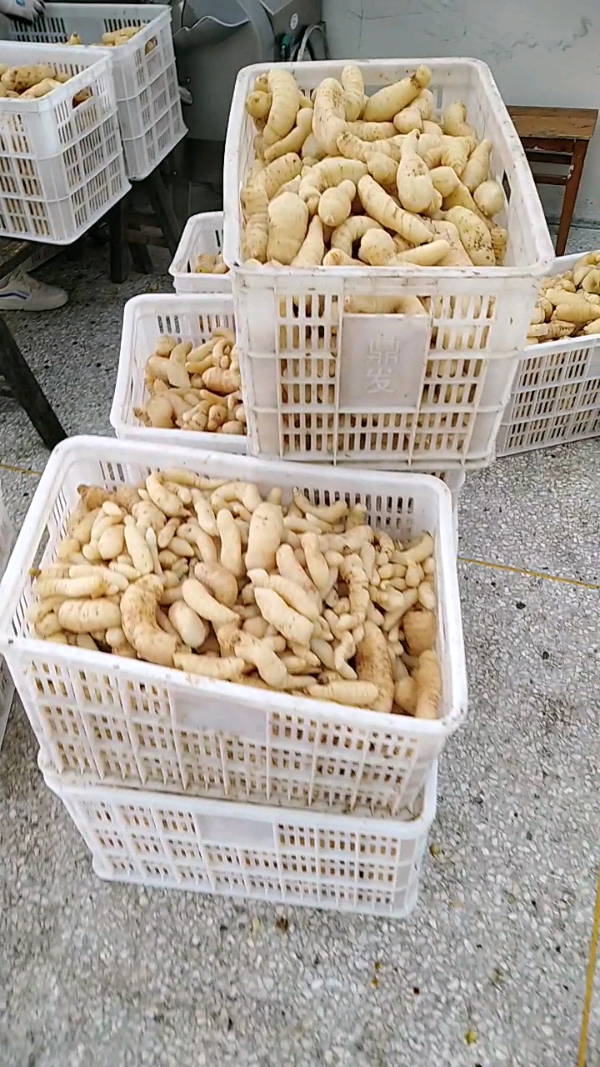 益陽(yáng)瑪山產(chǎn)業(yè)機(jī)械有限公司，湖南益陽(yáng)螺旋風(fēng)管廠家，熱風(fēng)食品烤房